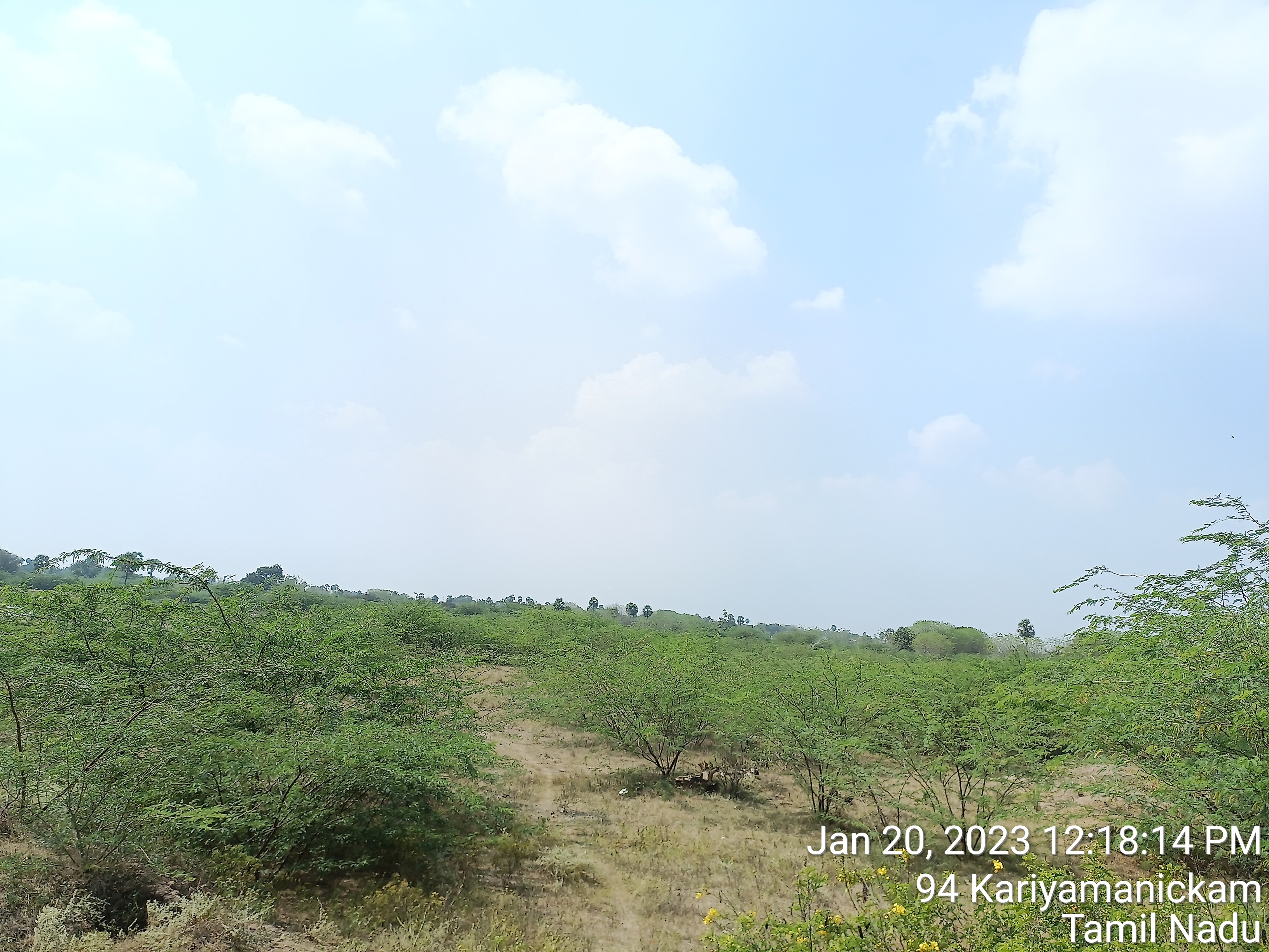 TimePhoto_20230120_121814.jpg